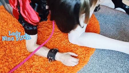 Lady Nina Birch - Sissy Sluts Training Filthfest Pt2