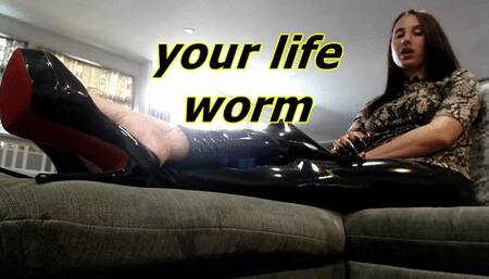 your life worm (AVI)