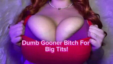 Dumb Gooner Bitch 4 Big Tits!