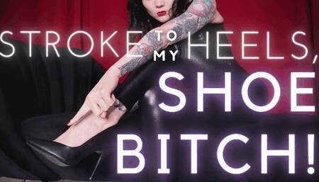 Stroke to My Heels, Shoe Bitch! (WMV)