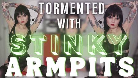 Tormented with Stinky Armpits (WMV)