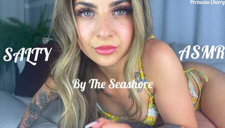 SALTY ASMR By The Seashore