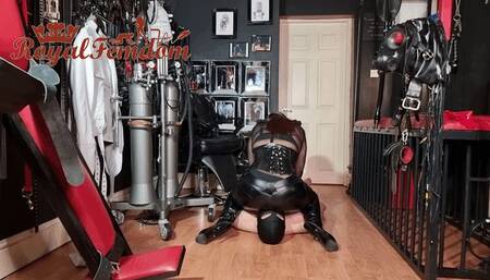 Latex Full Weight Facesitting 2 Mobile Version