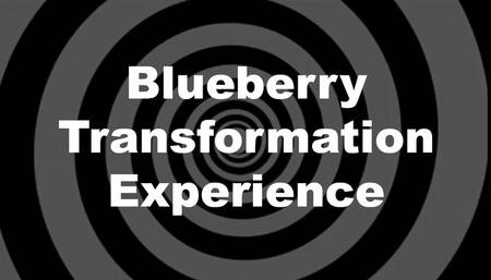 Blueberry Transformation Experience