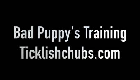 Bad Puppy's Training