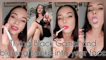 Trying Black Camel and blowing smoke into your face