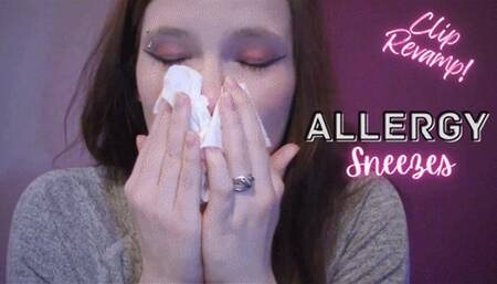 Allergy Sneezes 720 MP4