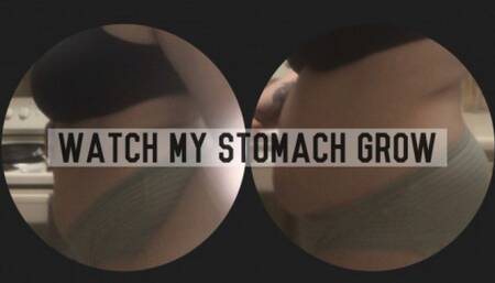 Water Chugging & Extreme Stomach Expansion - 10+ Inches!