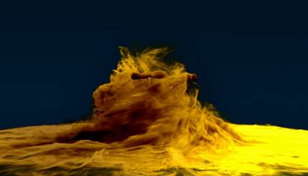 COLOMBO TORO JACKOFF