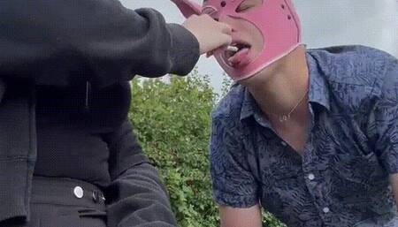 Ashtray Pig Outdoors