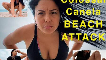 Colossal Canela BEACH ATTACK