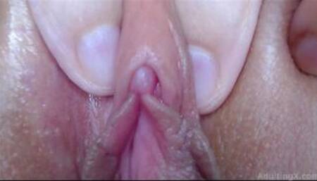 Pussy Tour - This Video Started it All