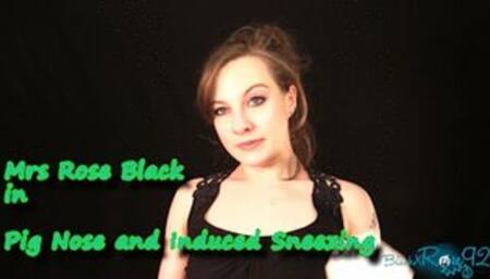 Pig Nose And Induced Sneezing-WMV