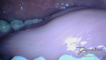 Endoscoipic side view of a blowjob