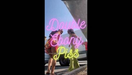 Dbl ebony piss with Hazel