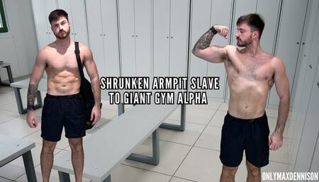 Shrunken armpit slave to giant gym alpha