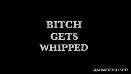 Bitch gets whipped