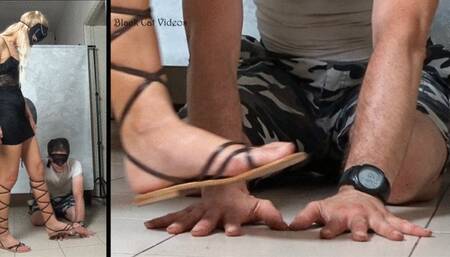 Alice trampling hands in gladiator flat sandals (two view)