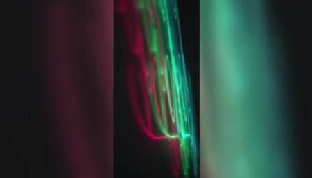 The Perfect Match by Oye Loca Featuring Mells Blanco