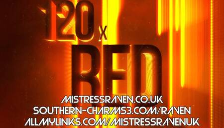 [743] 120 x RED Belt and Strap