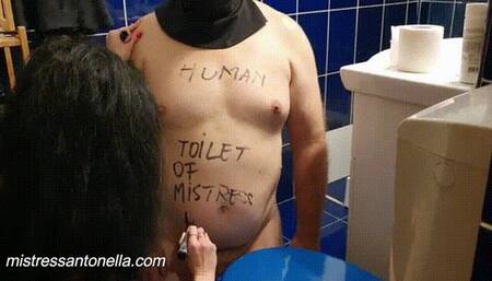 Degradation of Human toilet training by Mistress Antonella