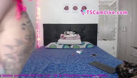 Tattoed Tgirl Bouncing her ass Chiks Part 2