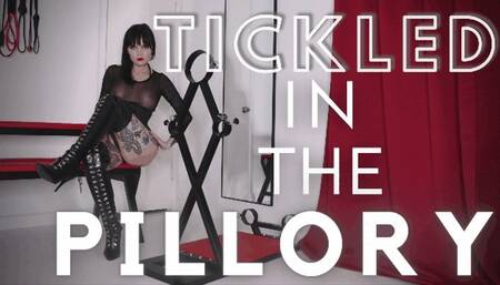 Tickled in the Pillory (WMV)