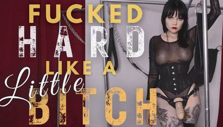 Fucked Hard Like a Little Bitch (WMV)