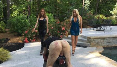 No Safe Word, No Salvation- The Paddling (Quicktime)