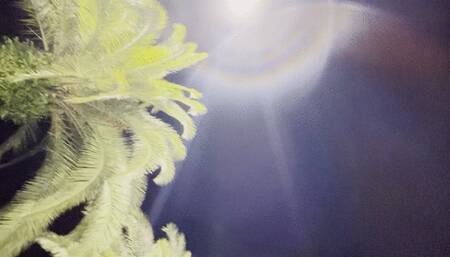 First Day in the pool at the resort