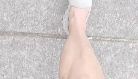 Tempest walks with Mister