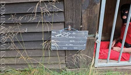 Prisoner #28 at the Hidden Turture Farm II - ENTIRE MOVIE