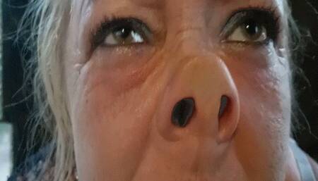 Nose to the door MP4