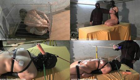 The Interrogation XXL - FULL HD (mp4) - JP20230914