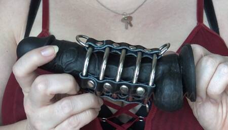 Chastity training cage