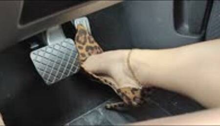 The Cancelled Uber! (WMV Format)