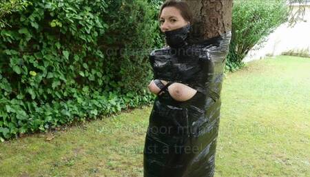 Chloe's first mummification outdoor against a tree!