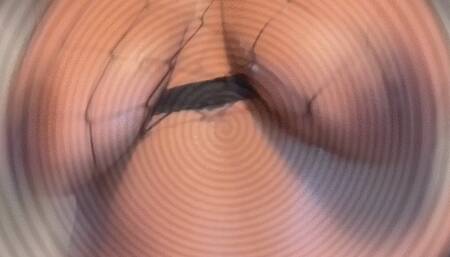 Titty Worship Findom Instructions