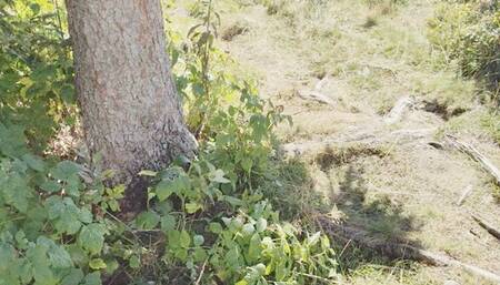 BLOWJOB IN THE MOUNTAINS AT 2000 METERS ALTITUDE