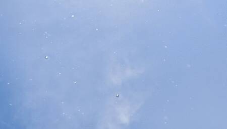 Hibiscus tiny bikini with silicone foot bondage