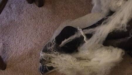 Valentine Surprise - version 2 & raw footage