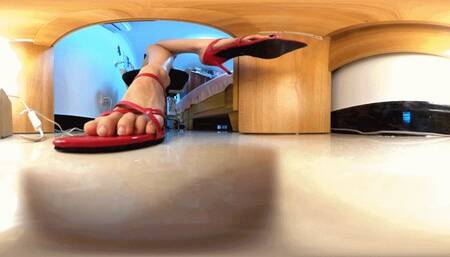 Ella Office Shaming Slaves 360VR WMV