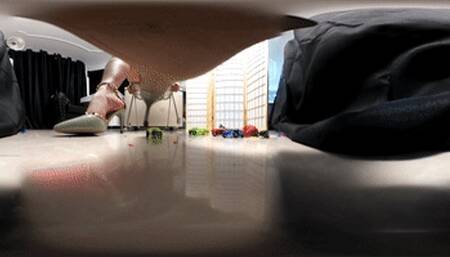 Boss Qi Qi Treads on Toy Car 360VR MP4