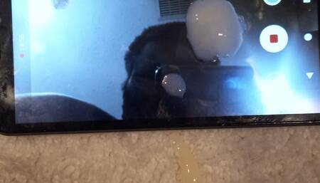 I Masturbated right by Toilet Seat in Point Up View while Standing