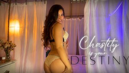 Chastity is your Destiny 1080p MP4