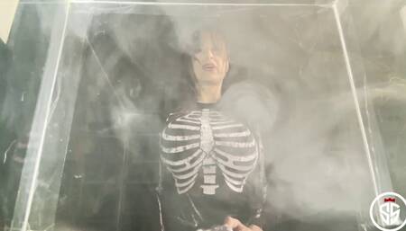 Boxed In - Domme Smoking Fantasy