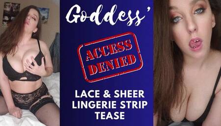 Goddess Lace and Sheer Strip Tease (1080WMV)