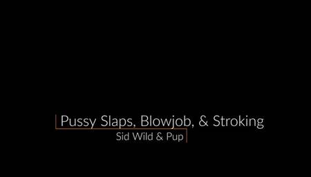 Pussy Spanks, Blowjob, Cock Stroking, & Pussy Fondling - FULL VID