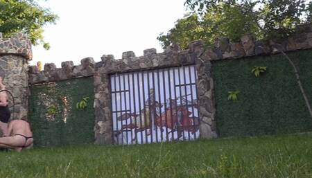 whippings to the wall side cam