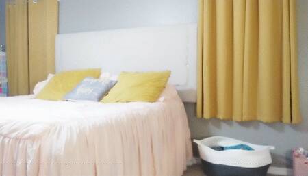 VORE - I eat my students and Dean